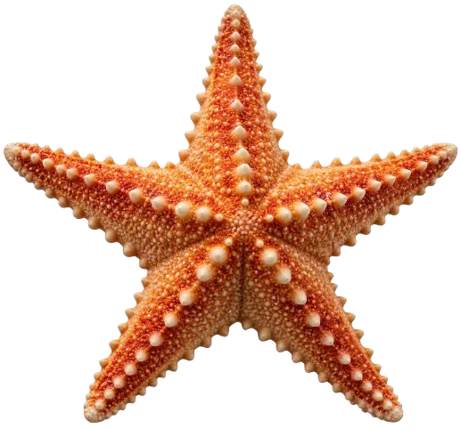 Starfish